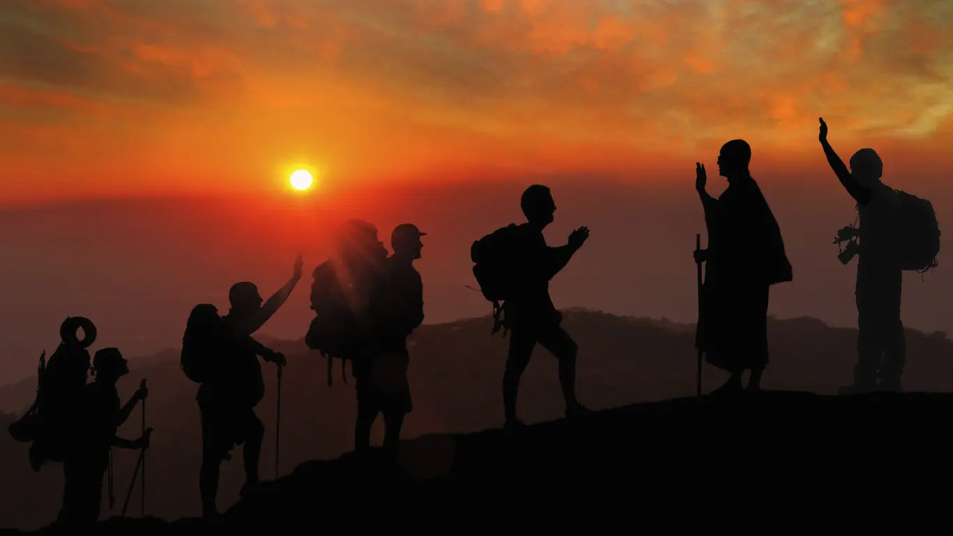 Experience your trip